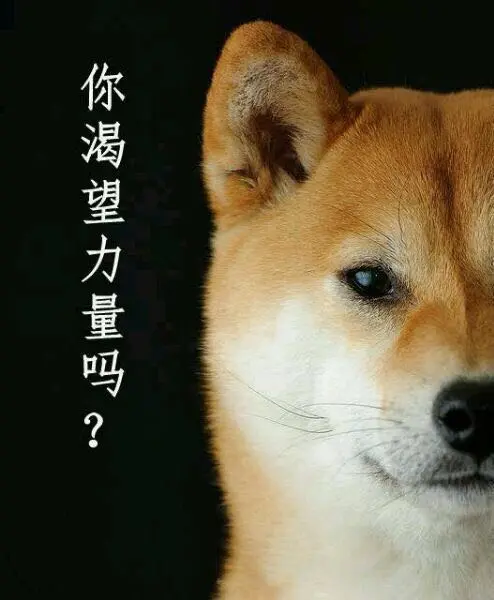 13908708-17d15829e7eb6f2c.png