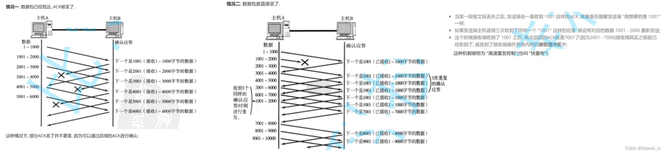 udp协议/tcp协议