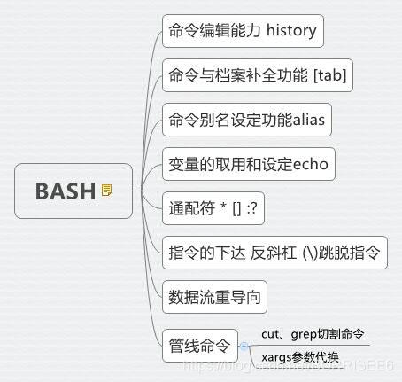 BASH主要内容