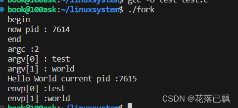Linux系统编程(再论execve)插图1 在这里插入图片描述