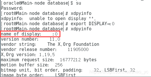 在Linux虚拟机上安装Oracle数据库(超完整版)_虚拟机安装oracle-CSDN博客