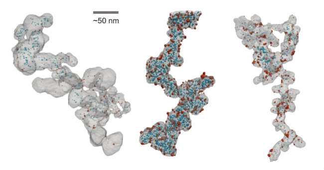 在tomviz中可视化用于清洁能源汽车的3D纳米材料 3D nanomaterials for clean-energy vehicles visualized in tomviz