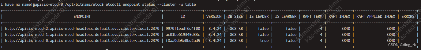 进入容器查看集群节点状态