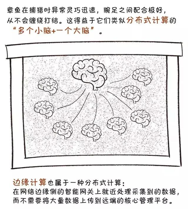 边缘计算是什么？下一次信息技术的变革