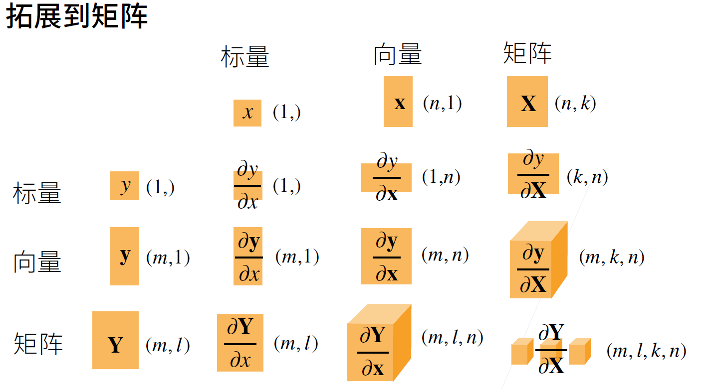 image-20220205232452462