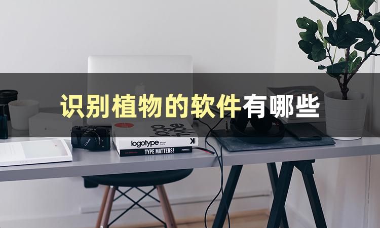b2c66dfa865a63787a5028a2ee7b9e01.jpeg