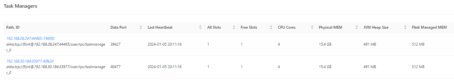 image-20240105201137482