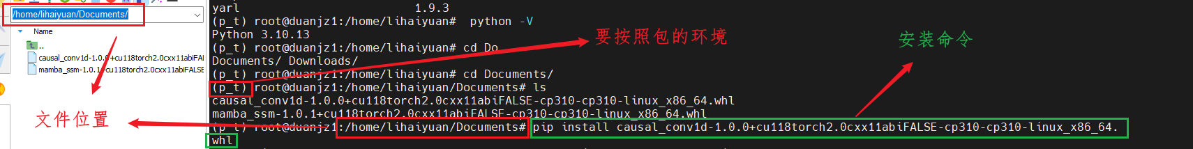 文章图片