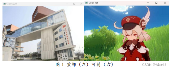 文章图片
