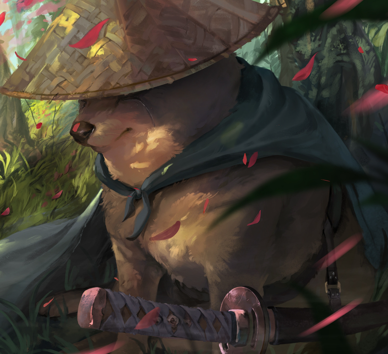 文章图片