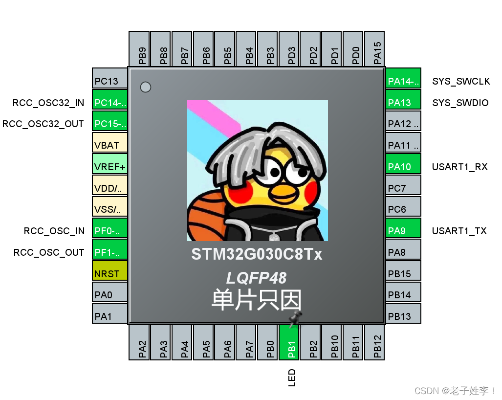 文章图片