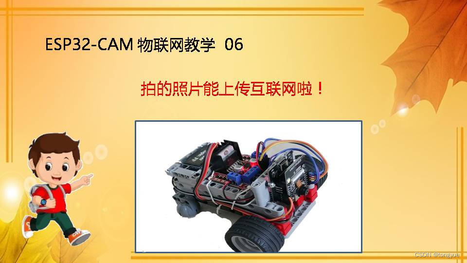 文章图片