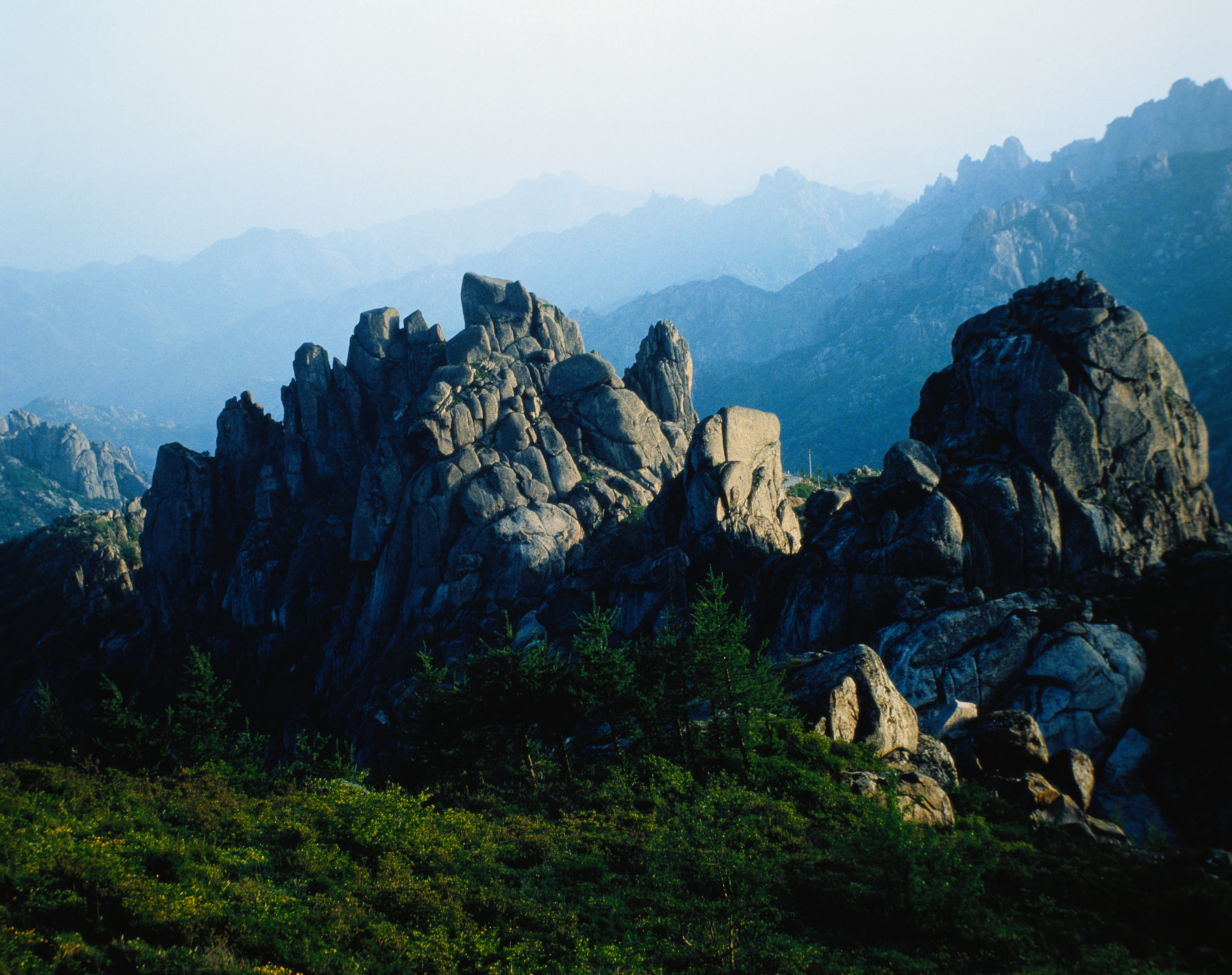 文章图片