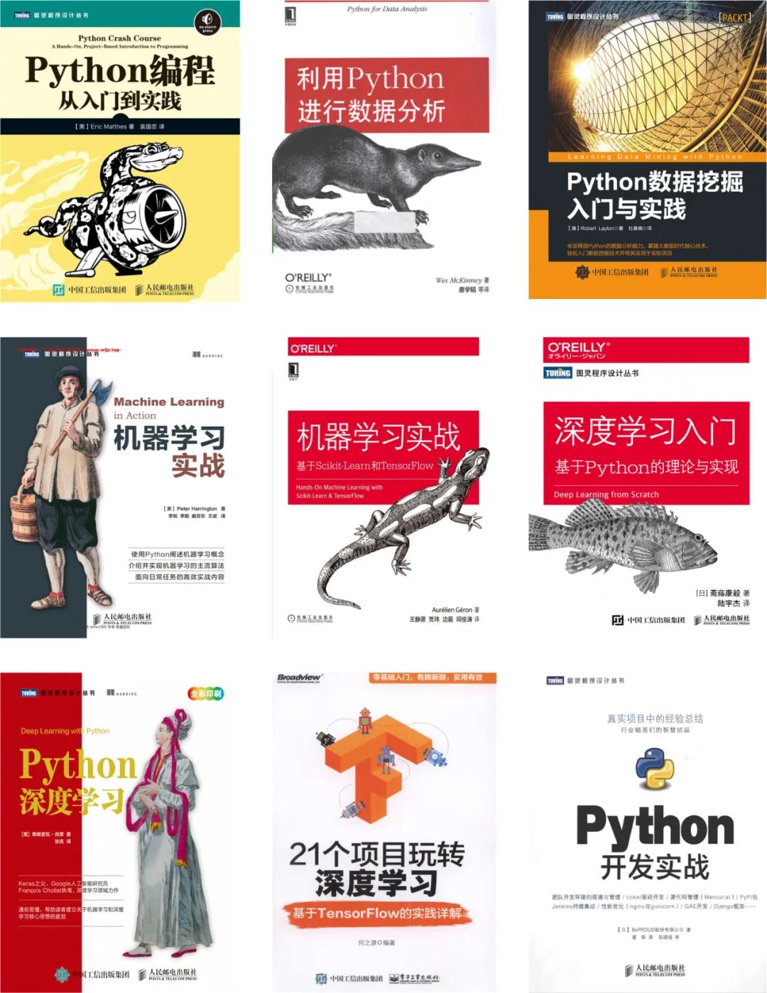 文章图片