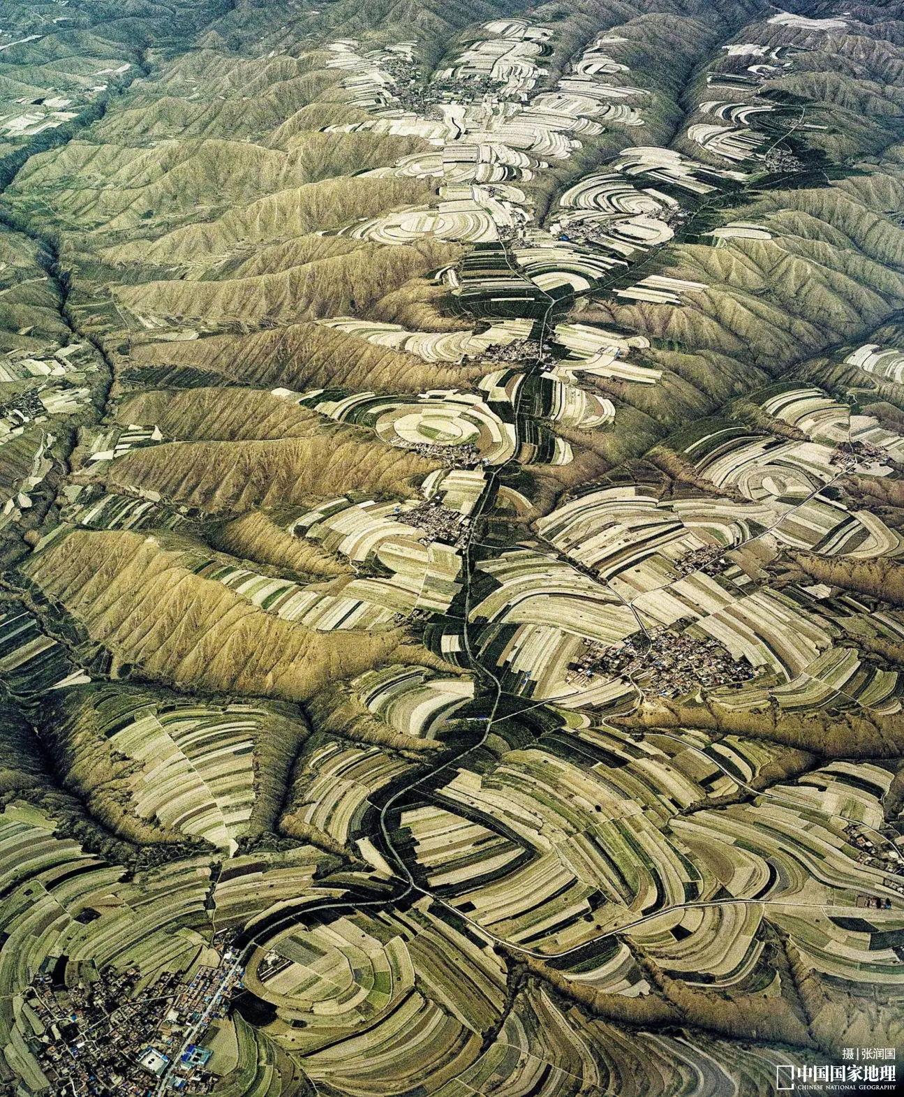 文章图片