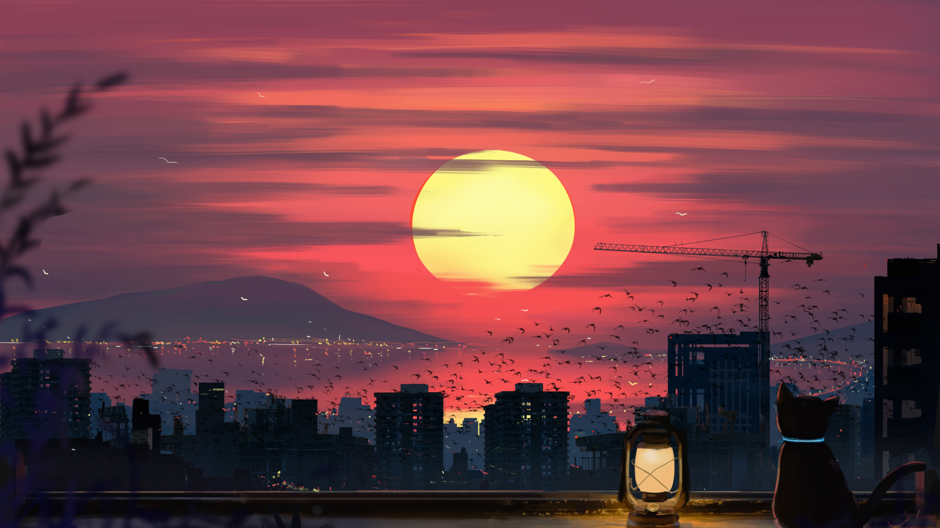 文章图片