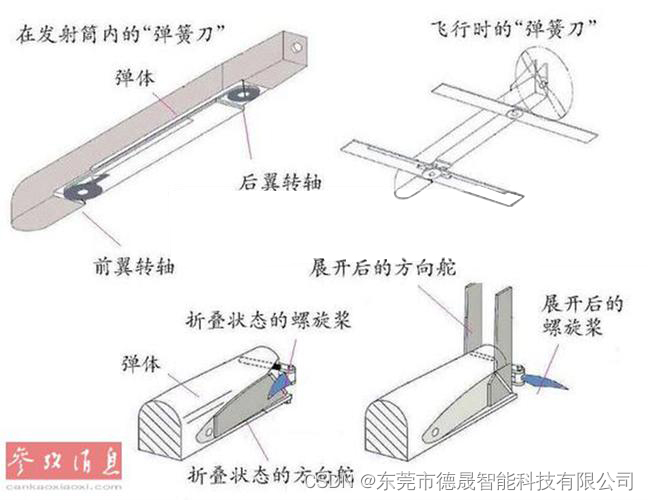 文章图片