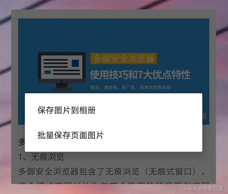 文章图片