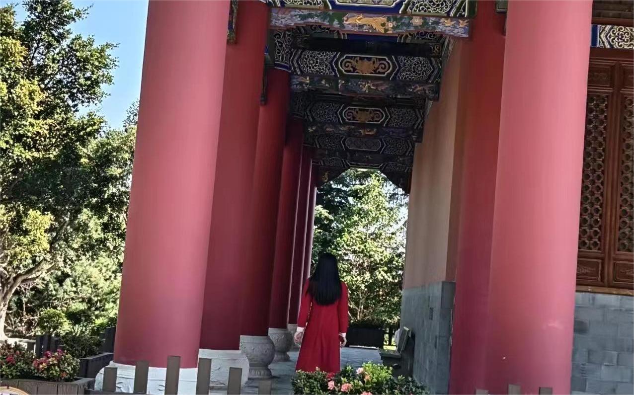 文章图片