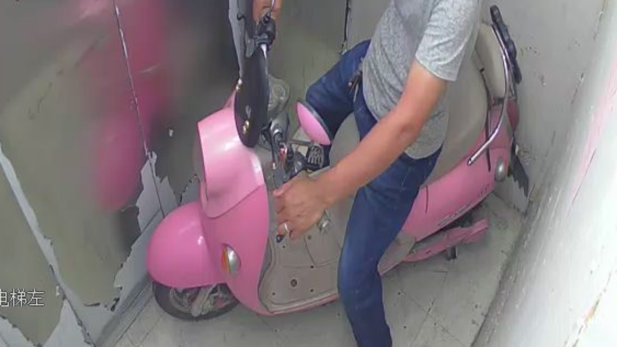 文章图片