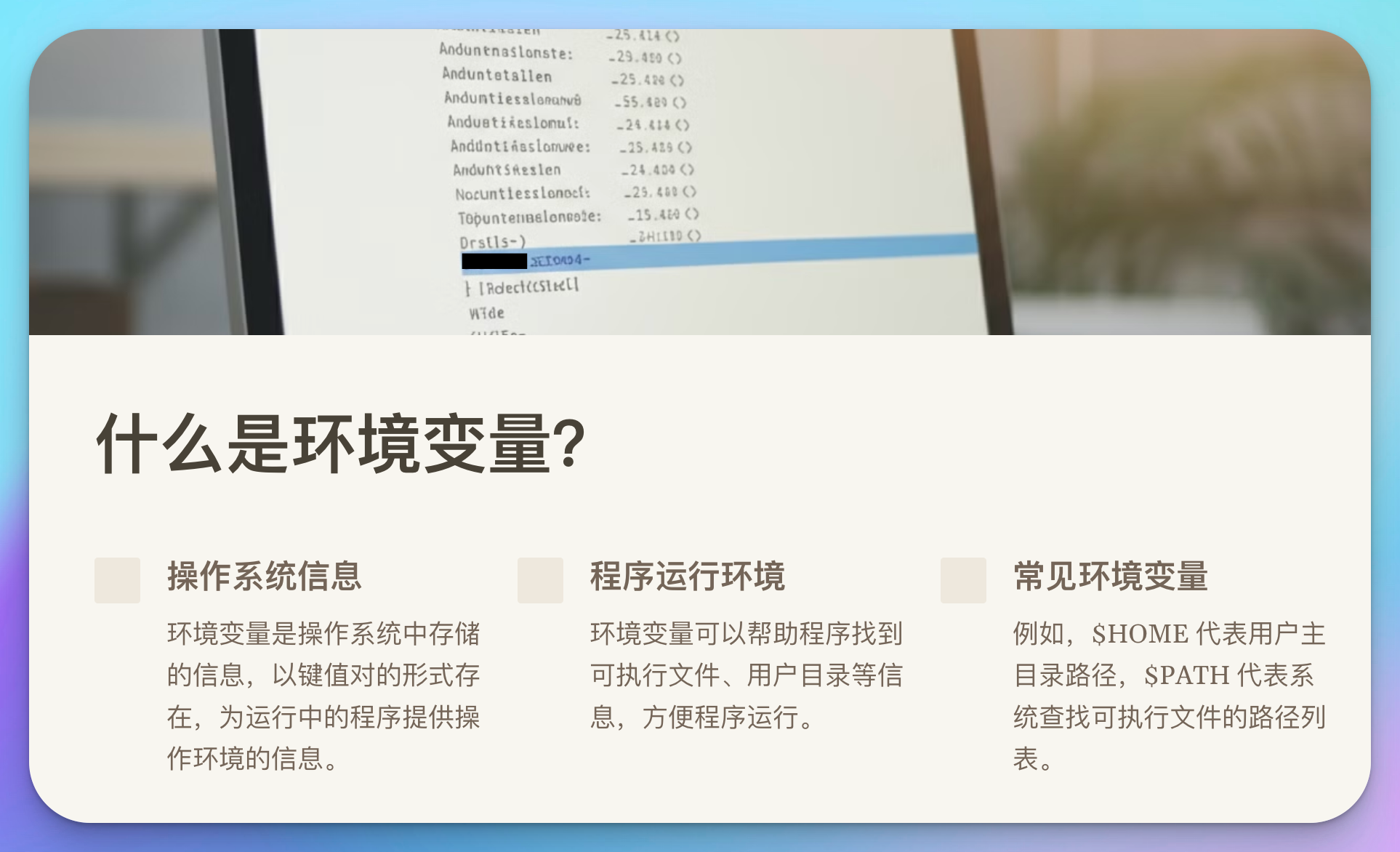 文章图片