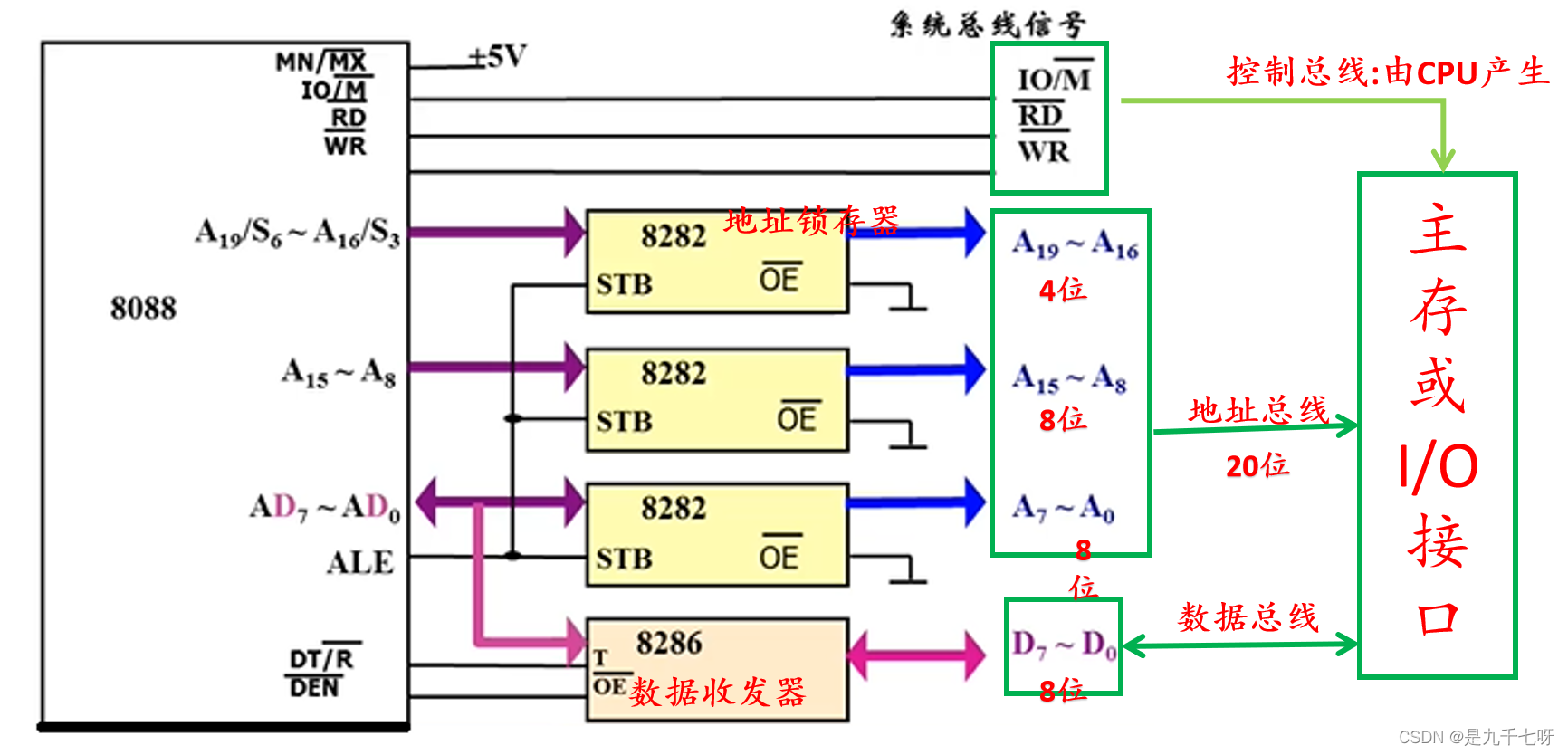 文章图片