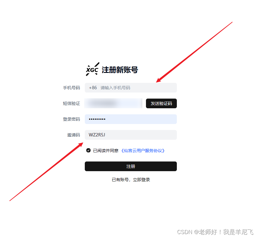 文章图片