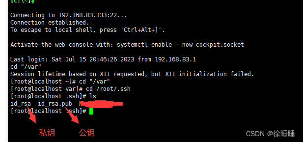 文章图片