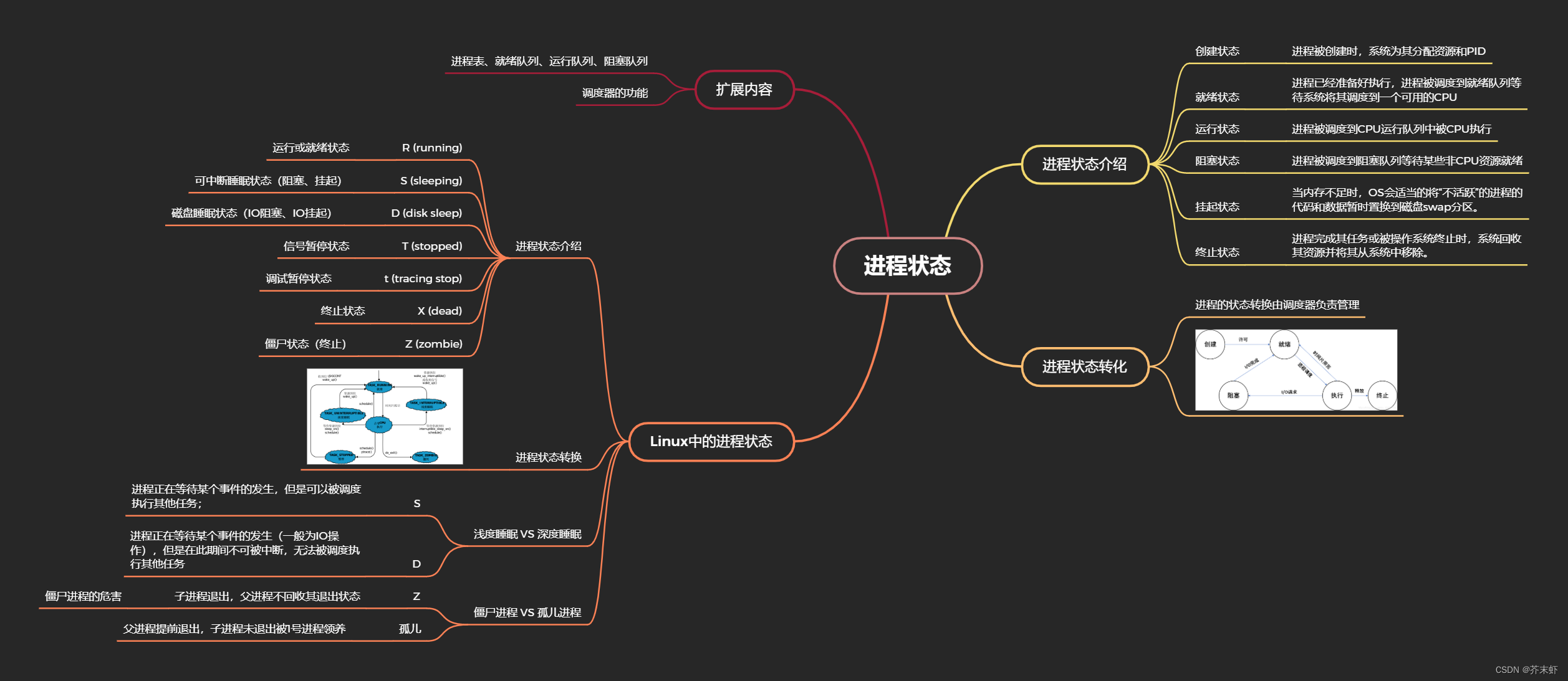 文章图片