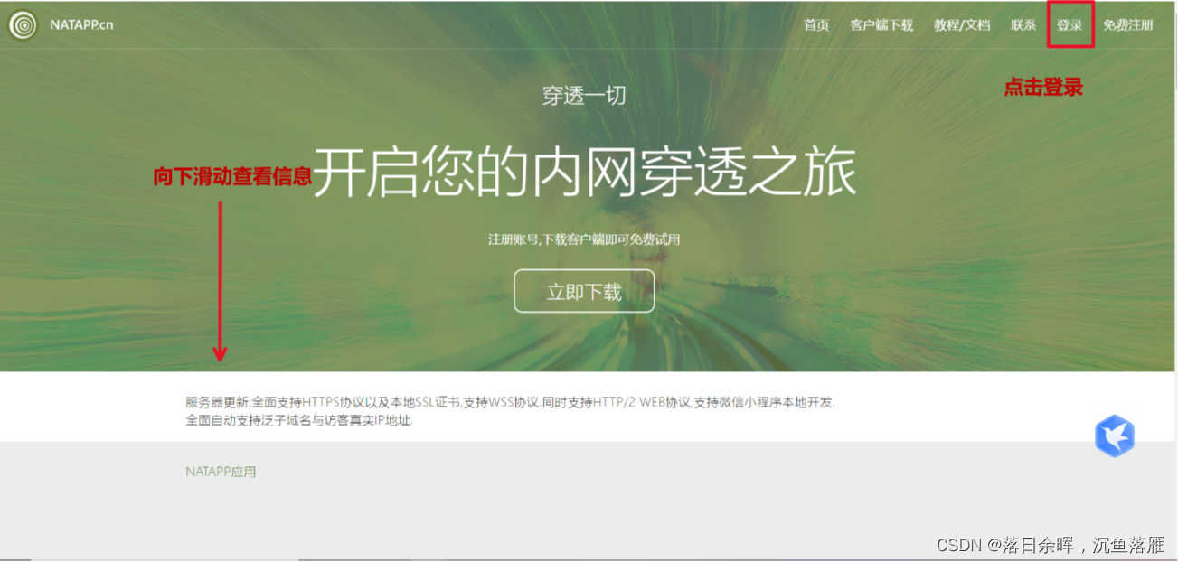 文章图片