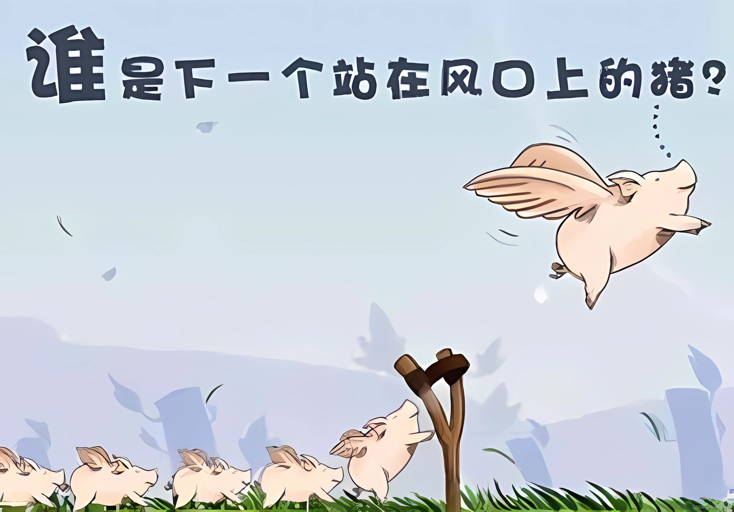 文章图片