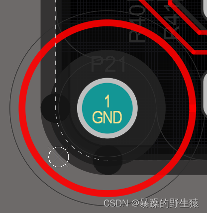 文章图片