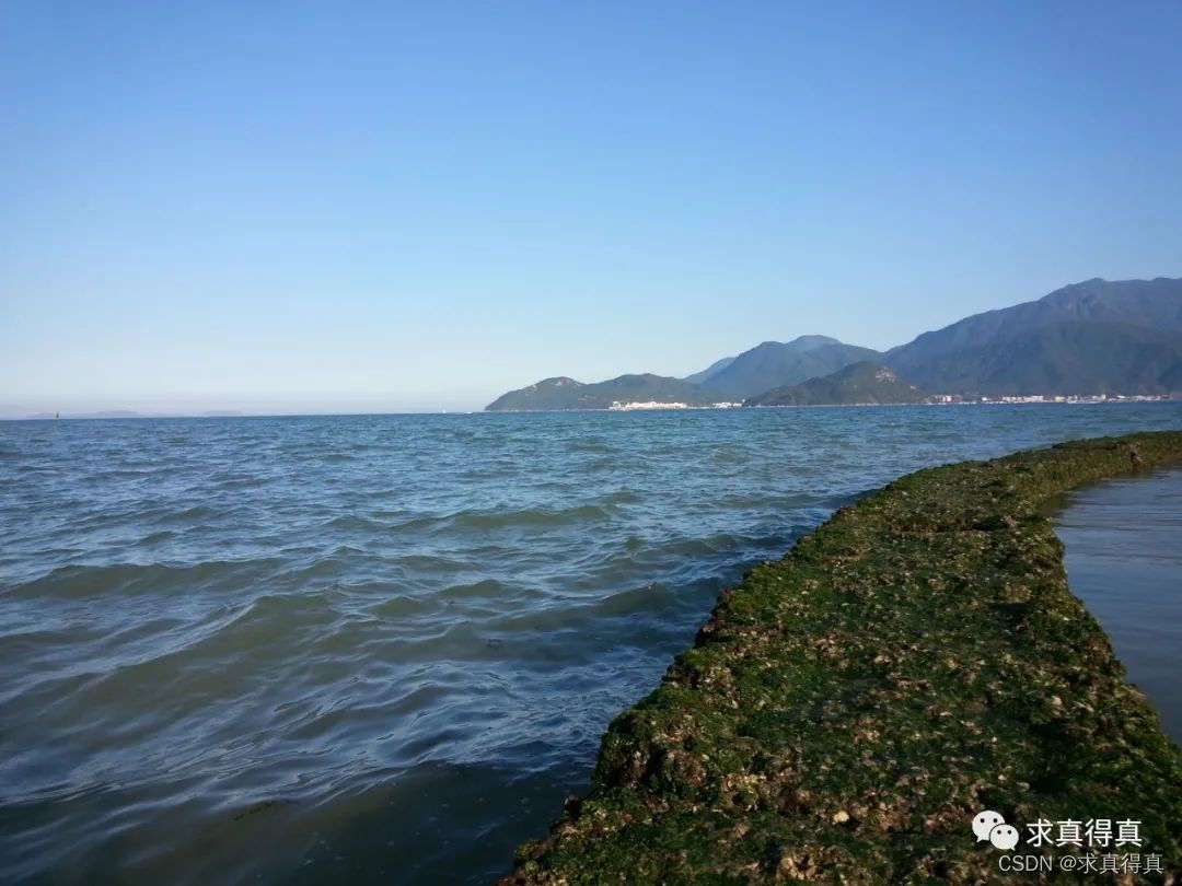 文章图片