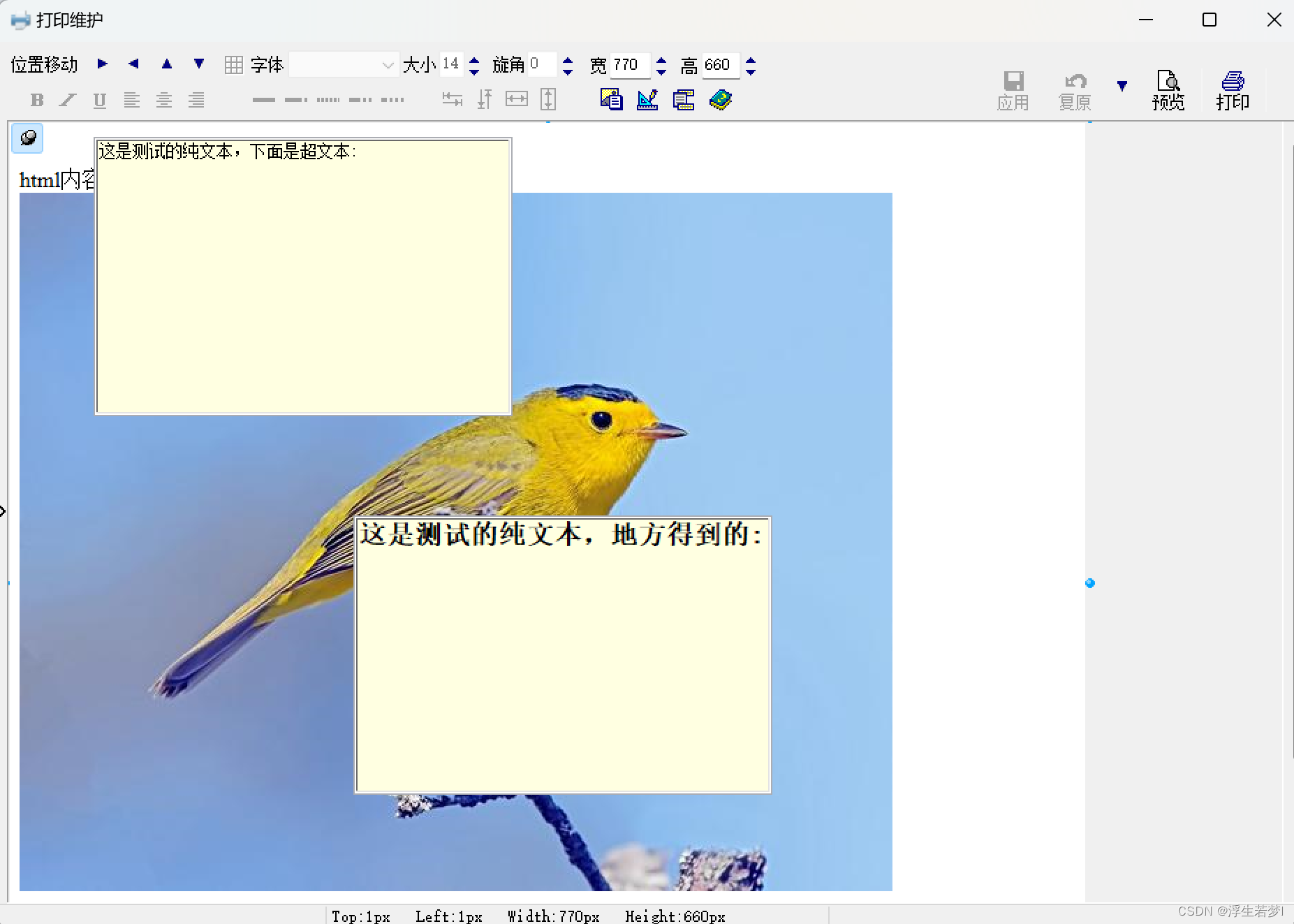 文章图片