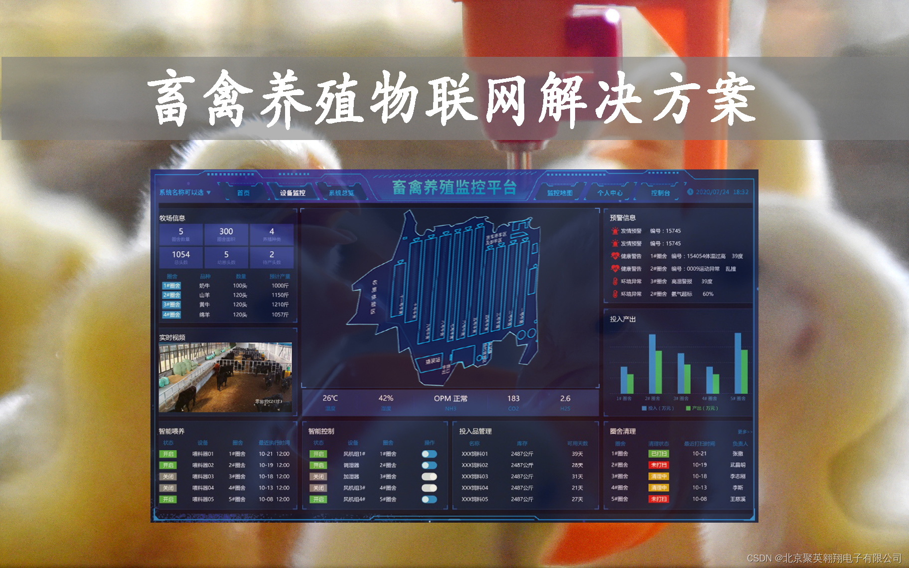 文章图片