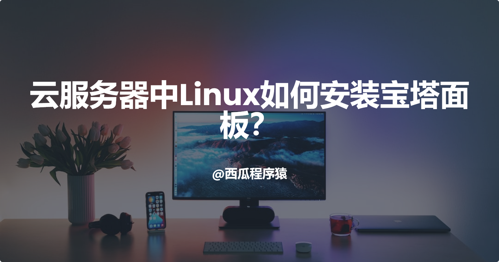 文章图片