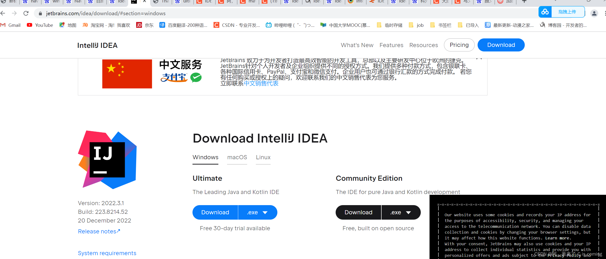 文章图片