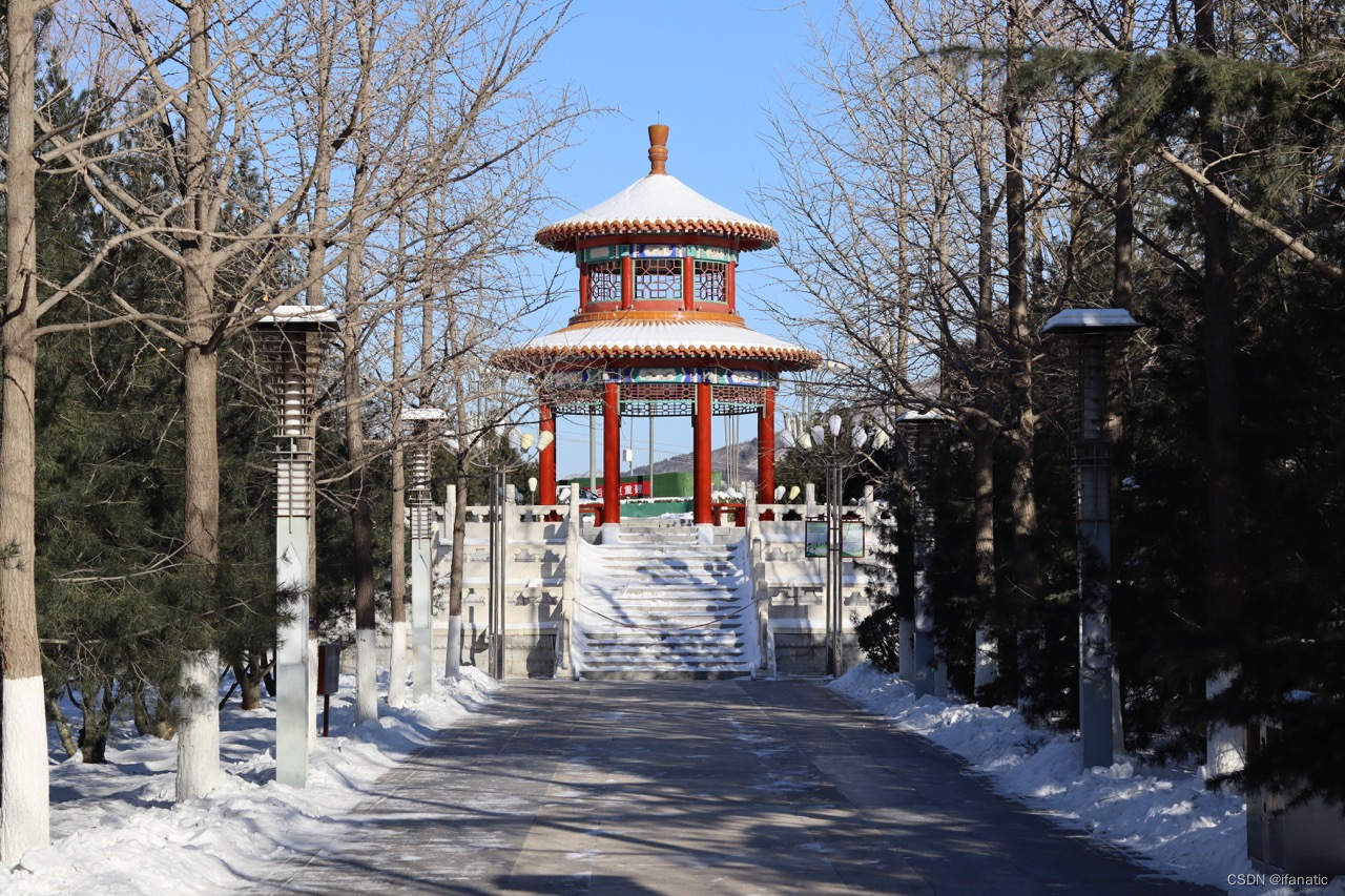 文章图片