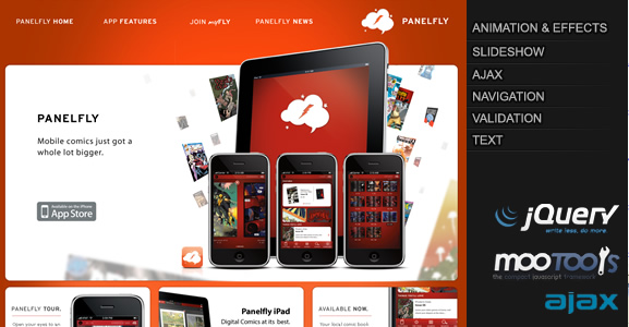 Panelfly