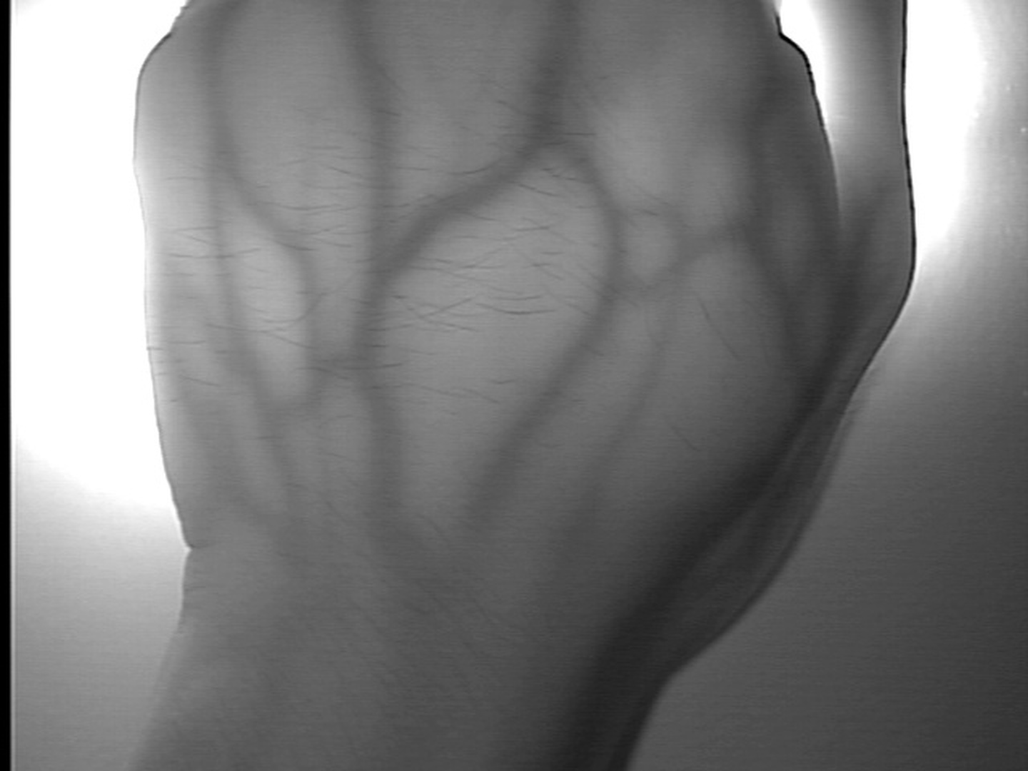 fc1327069bd096869d124dc66f526b8b.png