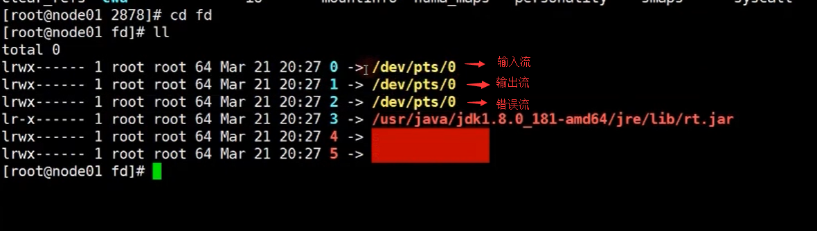 阿里Java二面：从底层聊下IO多路复用模型？这不有嘴就会