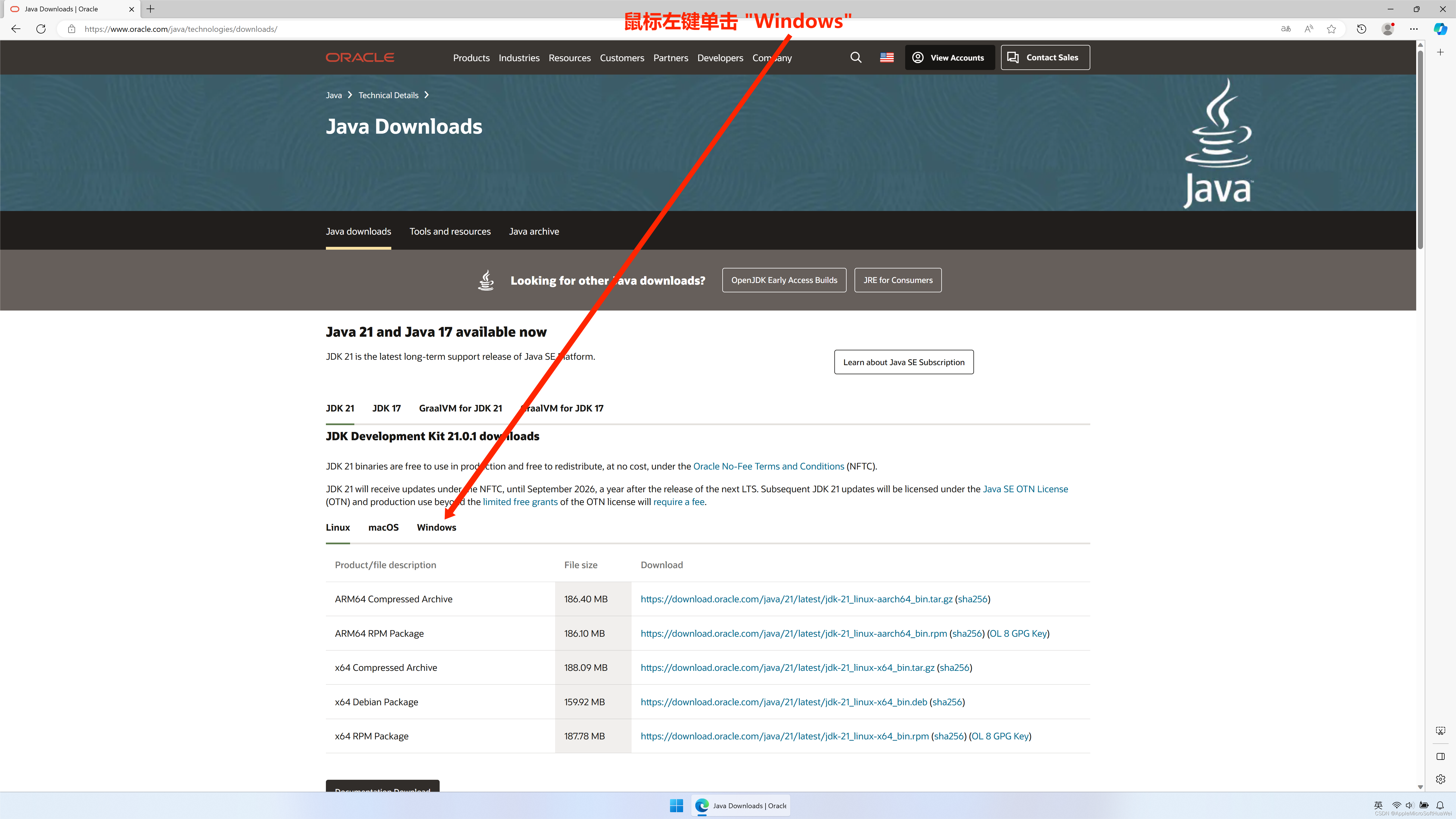 Java Development Kit (JDK21) 下载、解压、配置_jdk21下载-CSDN博客