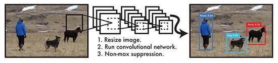 Redmon, Joseph, et al. “You only look once: Unified, real-time object  detection.” 2016.