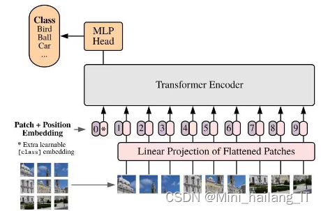 毕业设计:深度学习技术驱动的细胞图像分割方法算法实现