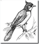 clip_image001