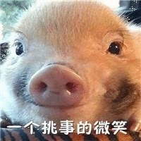 539d568a9c17cadfeba69ca13c722b76.gif
