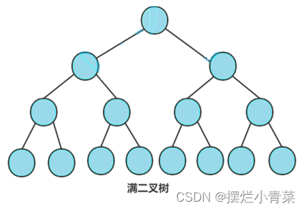 数据结构:二叉树概念篇(算法基础)_有向树-CSDN博客