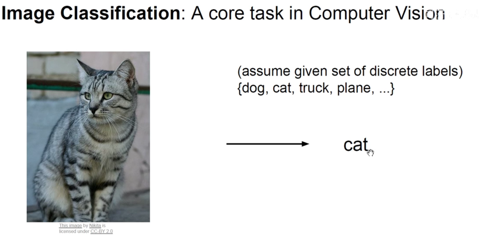 image-20211225093610000