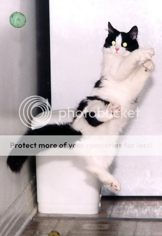 点击在新窗口中查看该图片