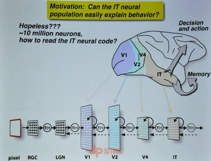 殊途同归还是渐行渐远？MIT神经科学教授James DiCarlo谈如何通过人类神经理解神经网络